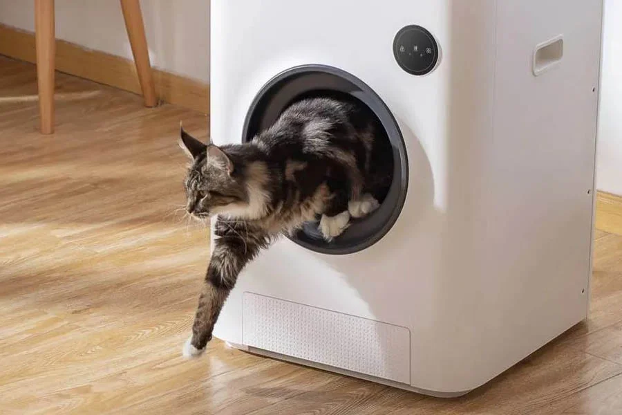 best scoop free litter box